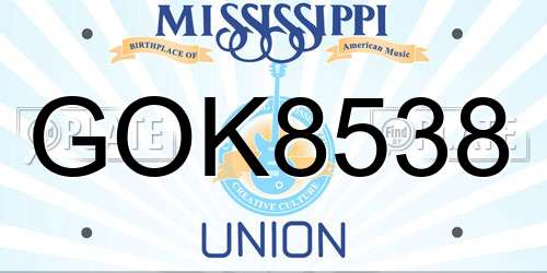 GOK8538 Mississippi License Plate