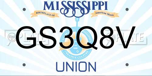 GS3Q8V Mississippi License Plate