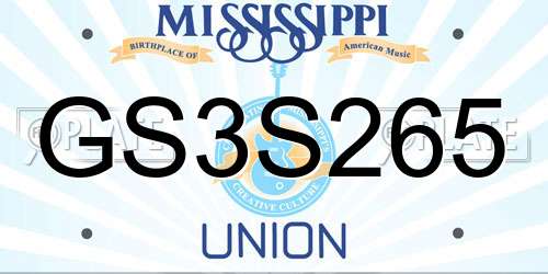 GS3S265 Mississippi License Plate