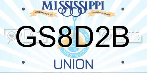 GS8D2B Mississippi License Plate