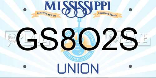GS8O2S Mississippi License Plate