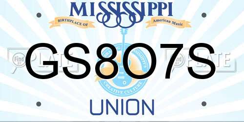 GS8O7S Mississippi License Plate