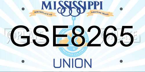 GSE8265 Mississippi License Plate
