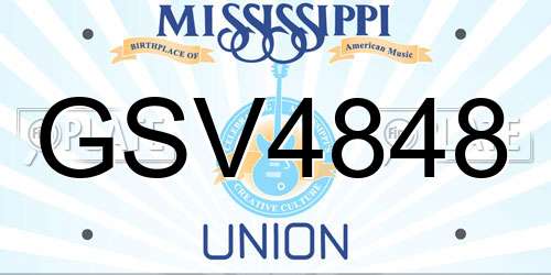 GSV4848 Mississippi License Plate
