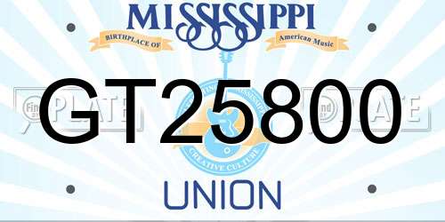GT25800 Mississippi License Plate