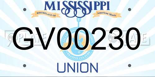 GV00230 Mississippi License Plate