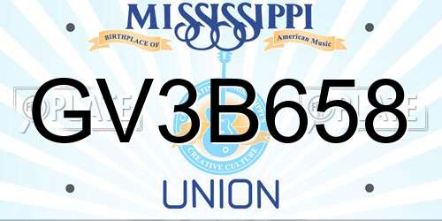 GV3B658 Mississippi License Plate