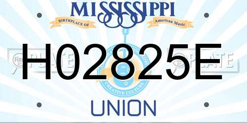 H02825E Mississippi License Plate