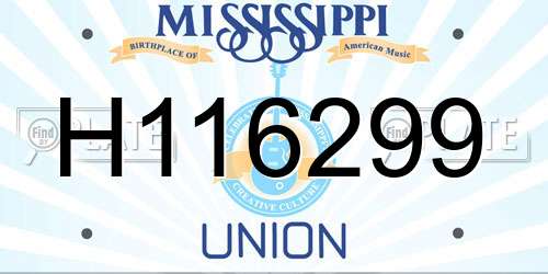 H116299 Mississippi License Plate