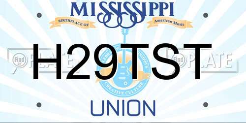 H29TST Mississippi License Plate