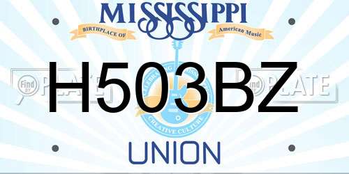 H503BZ Mississippi License Plate