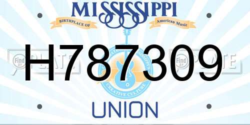 H787309 Mississippi License Plate