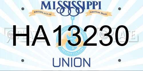 HA13230 Mississippi License Plate