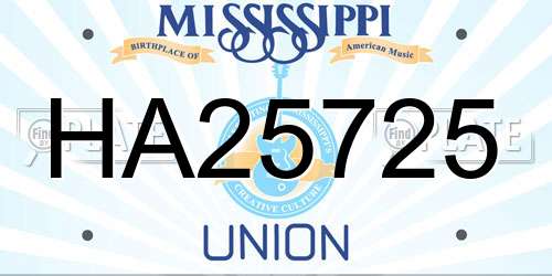 HA25725 Mississippi License Plate
