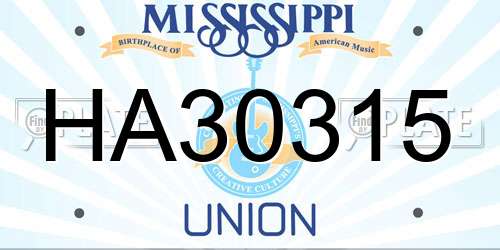 HA30315 Mississippi License Plate