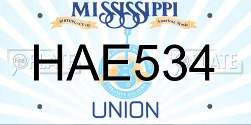HAE534 Mississippi License Plate