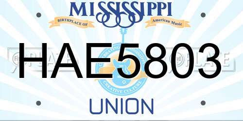 HAE5803 Mississippi License Plate