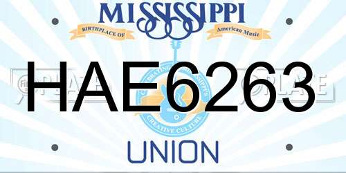 HAE6263 Mississippi License Plate