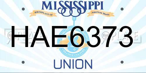 HAE6373 Mississippi License Plate