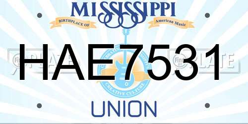 HAE7531 Mississippi License Plate