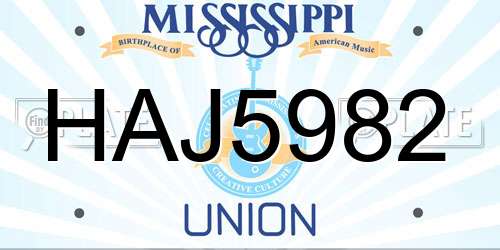 HAJ5982 Mississippi License Plate