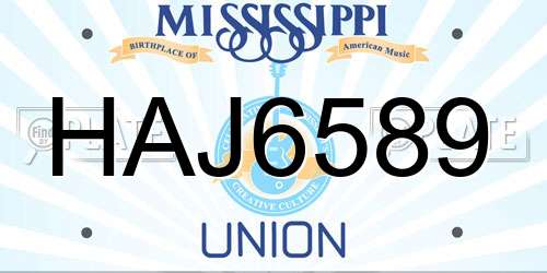 HAJ6589 Mississippi License Plate