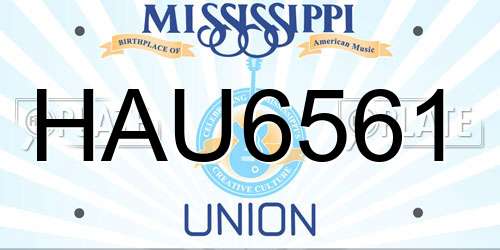 HAU6561 Mississippi License Plate
