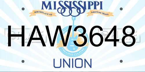 HAW3648 Mississippi License Plate
