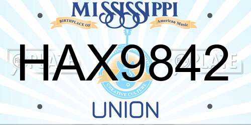 HAX9842 Mississippi License Plate