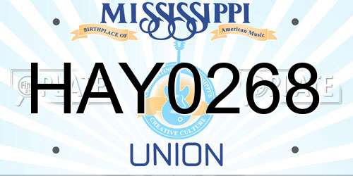 HAY0268 Mississippi License Plate
