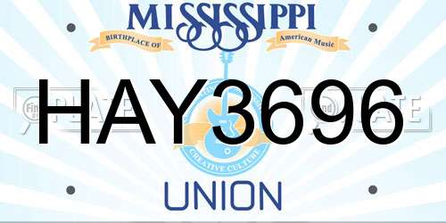 HAY3696 Mississippi License Plate