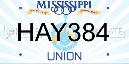 HAY384 Mississippi License Plate