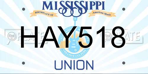 HAY518 Mississippi License Plate