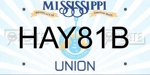 HAY81B Mississippi License Plate