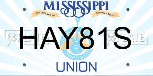 HAY81S Mississippi License Plate