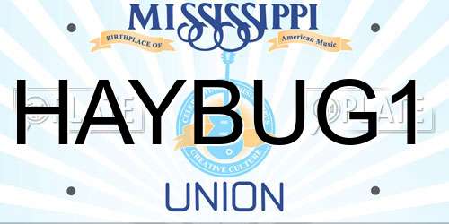 HAYBUG1 Mississippi License Plate