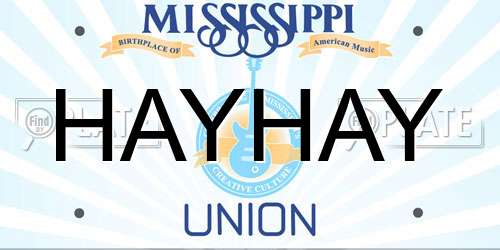 HAYHAY Mississippi License Plate