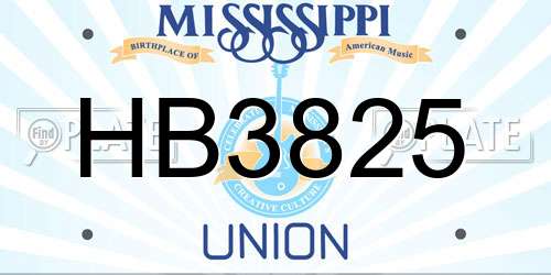 HB3825 Mississippi License Plate