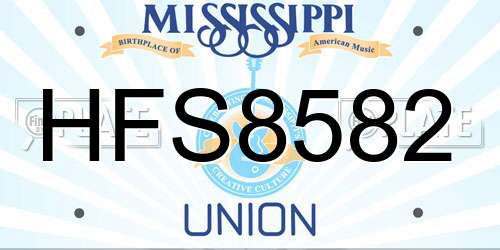 HFS8582 Mississippi License Plate