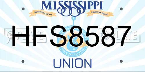 HFS8587 Mississippi License Plate