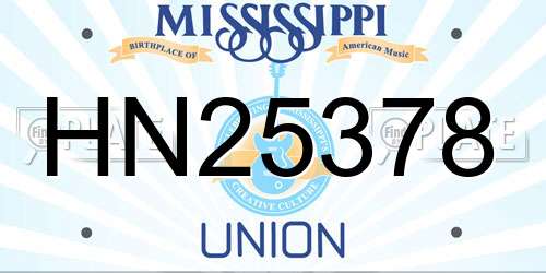 HN25378 Mississippi License Plate