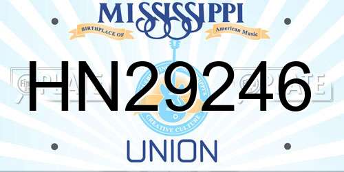 HN29246 Mississippi License Plate