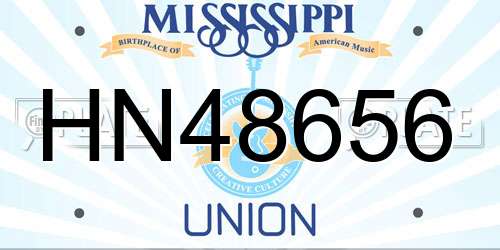 HN48656 Mississippi License Plate