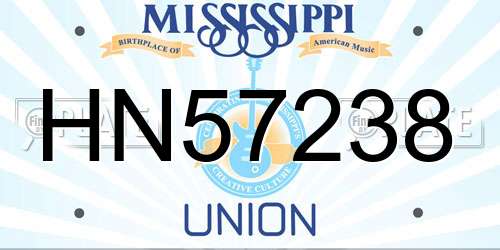 HN57238 Mississippi License Plate