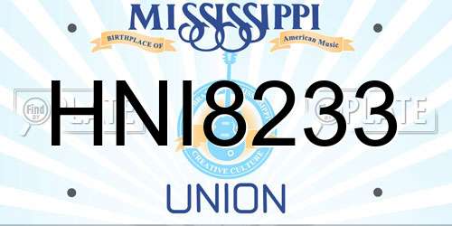 HNI8233 Mississippi License Plate