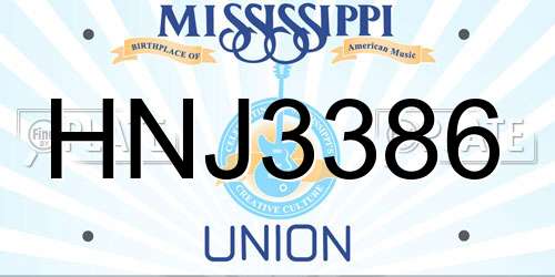 HNJ3386 Mississippi License Plate