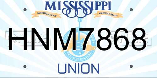 HNM7868 Mississippi License Plate