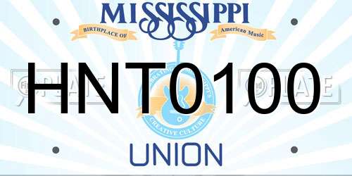 HNT0100 Mississippi License Plate