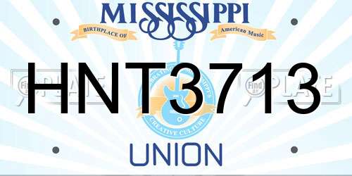 HNT3713 Mississippi License Plate