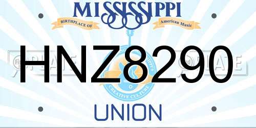 HNZ8290 Mississippi License Plate